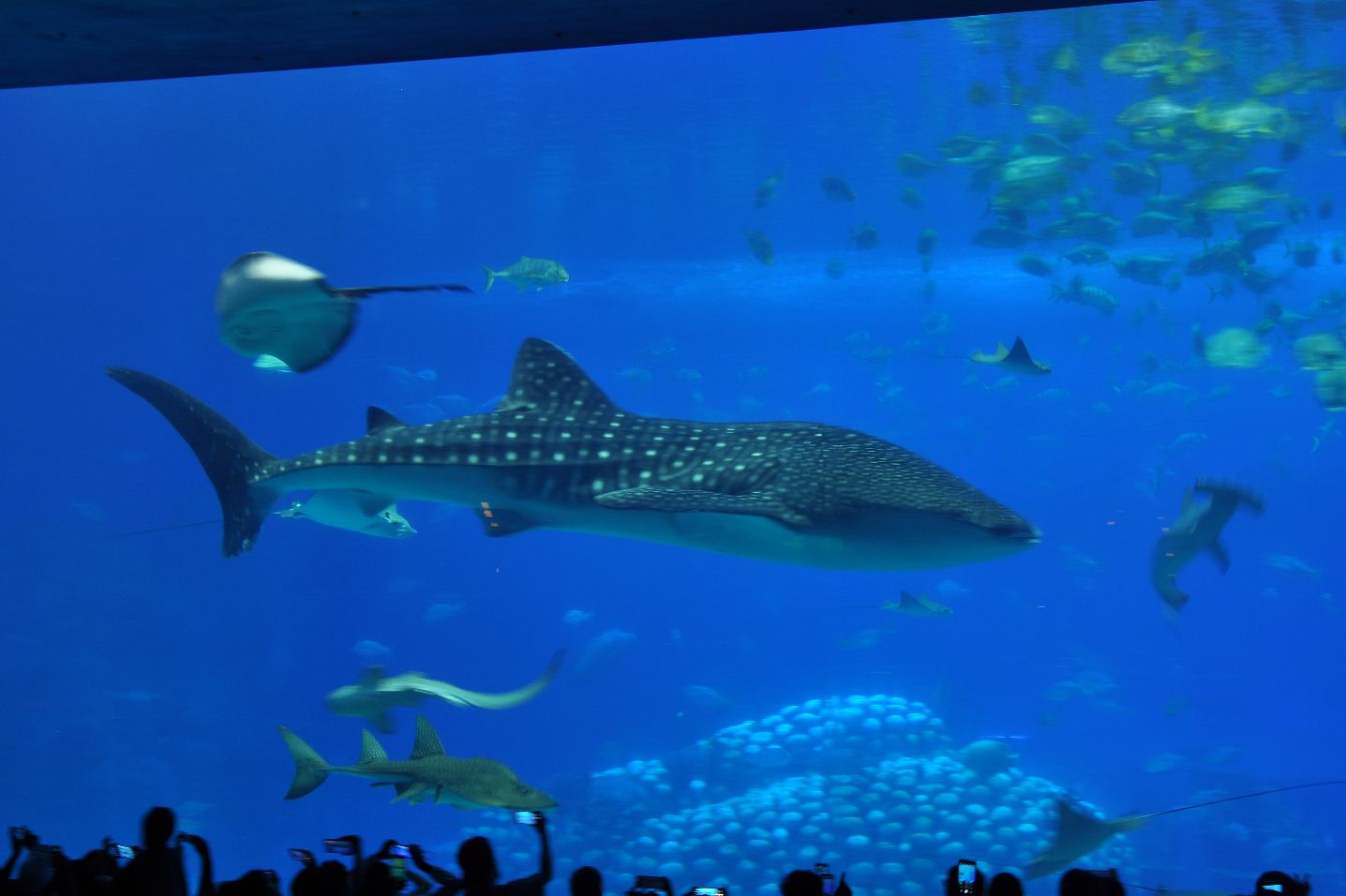 嵌入式系統(tǒng)軟硬件協(xié)同設(shè)計(jì)流程 嵌入式系統(tǒng)軟硬件協(xié)同設(shè)計(jì)流程