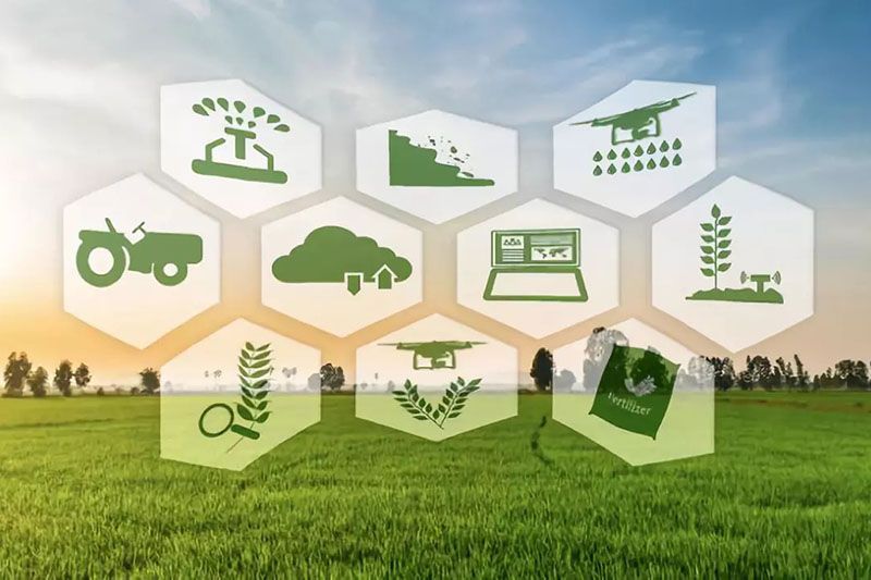 智慧農(nóng)業(yè)系統(tǒng)設(shè)計(jì) 智慧農(nóng)業(yè)系統(tǒng)設(shè)計(jì)