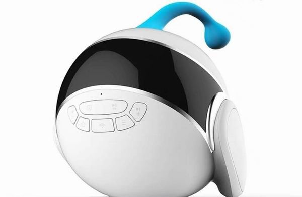 0033812313618aede67c 0033812313618aede67c